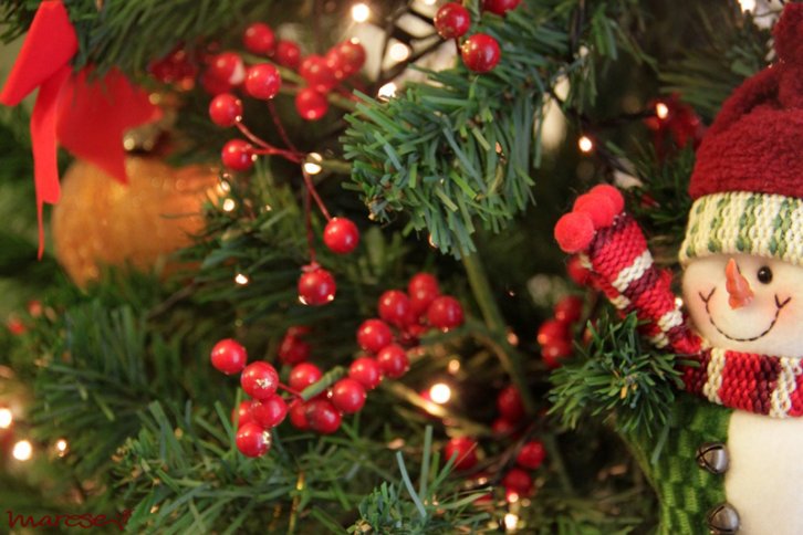 Christmastreestas 2013 - Το πρώτο μας χριστουγεννιάτικο δέντρο για το 2013
